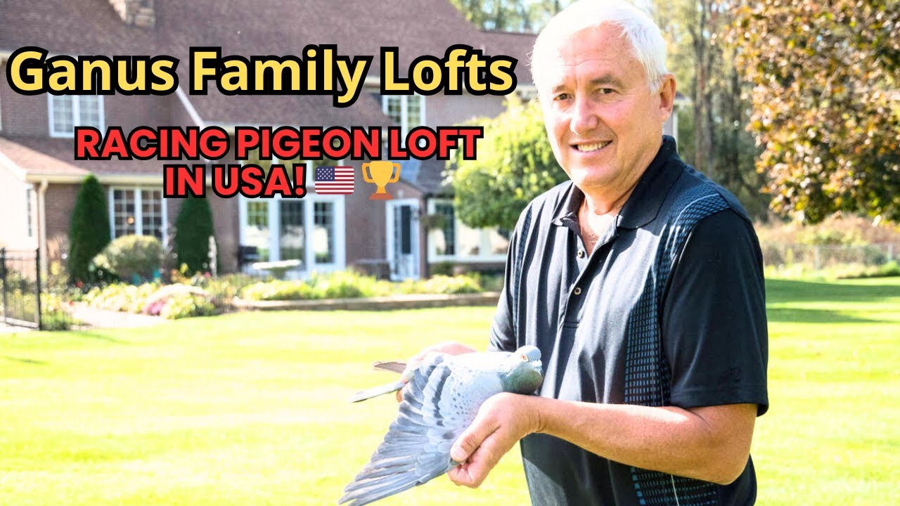 🔴 Live Tour at Ganus Family Loft – The Most Impressive One Loft Race Breeding Loft in the USA! 🇺🇸🏆