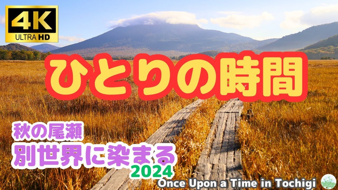 まだ間に合う！　ひとり旅　秋の尾瀬2024-10-14