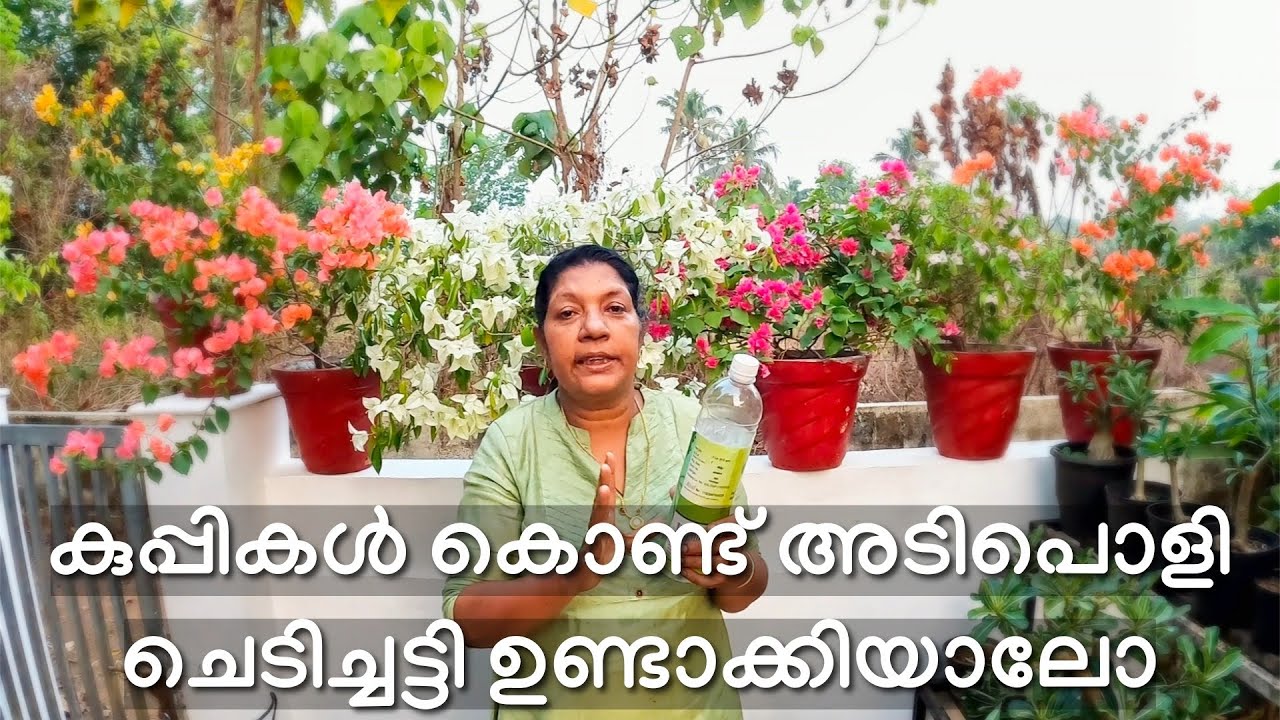 കുപ്പികൾ കൊണ്ട് അടിപൊളി ചെടിച്ചട്ടി ഉണ്ടാക്കിയാലോ 
