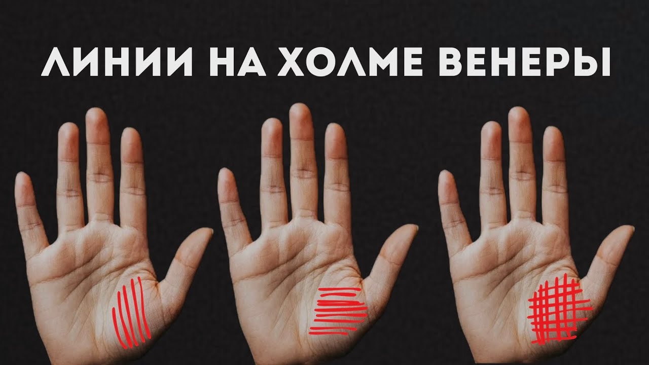 Что означают линии на холме Венеры. Жизненная энергия, линии беспокойства | Хиромантия 