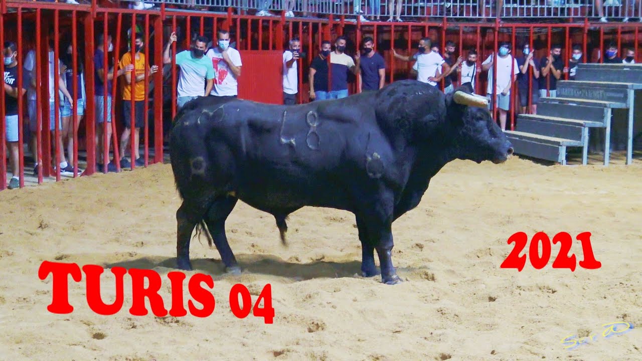 ✅2021 TURIS 04 ◾ DESAFIO Ganaderia F Machancoses de Cheste