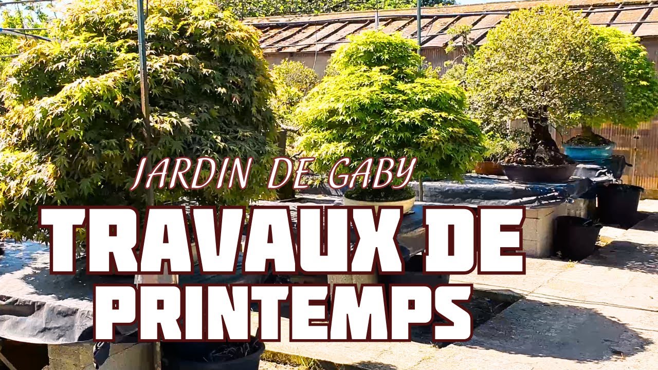 Travaux de Printemps dans le Jardin de Gaby Becker 🌱 NEJIKAN BONSAI 🌱