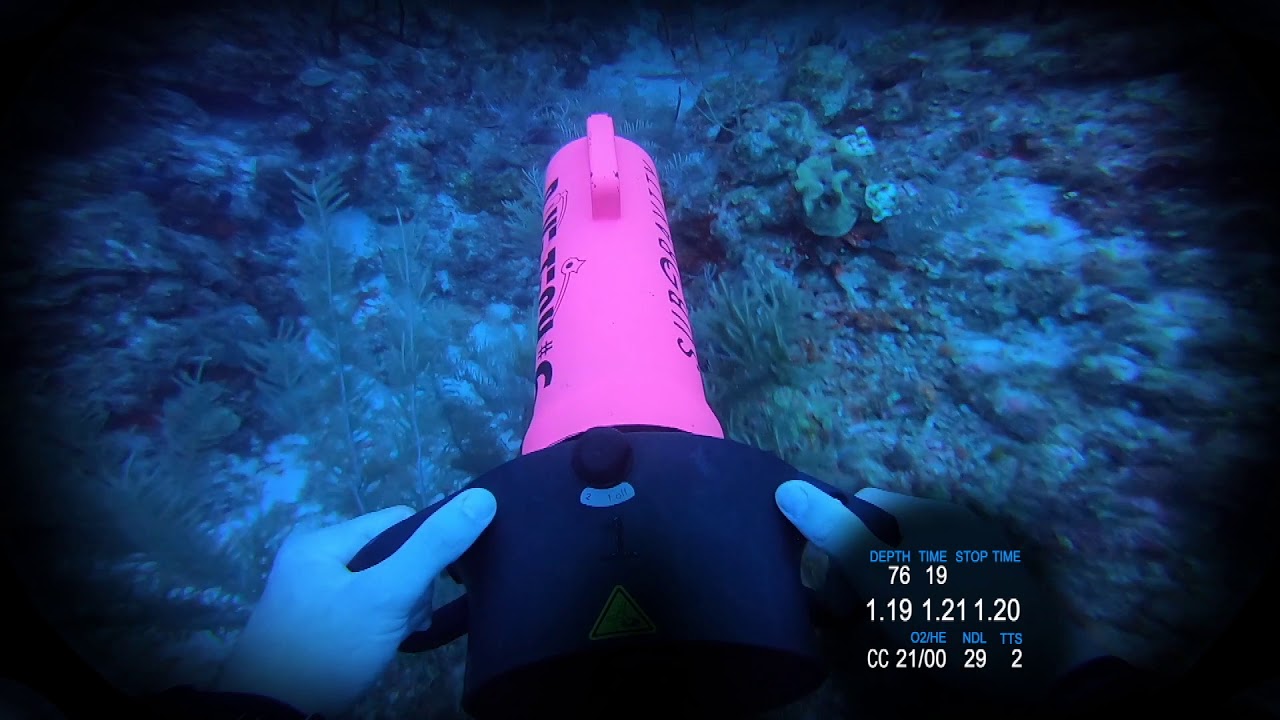 Diving the Shearwater NERD