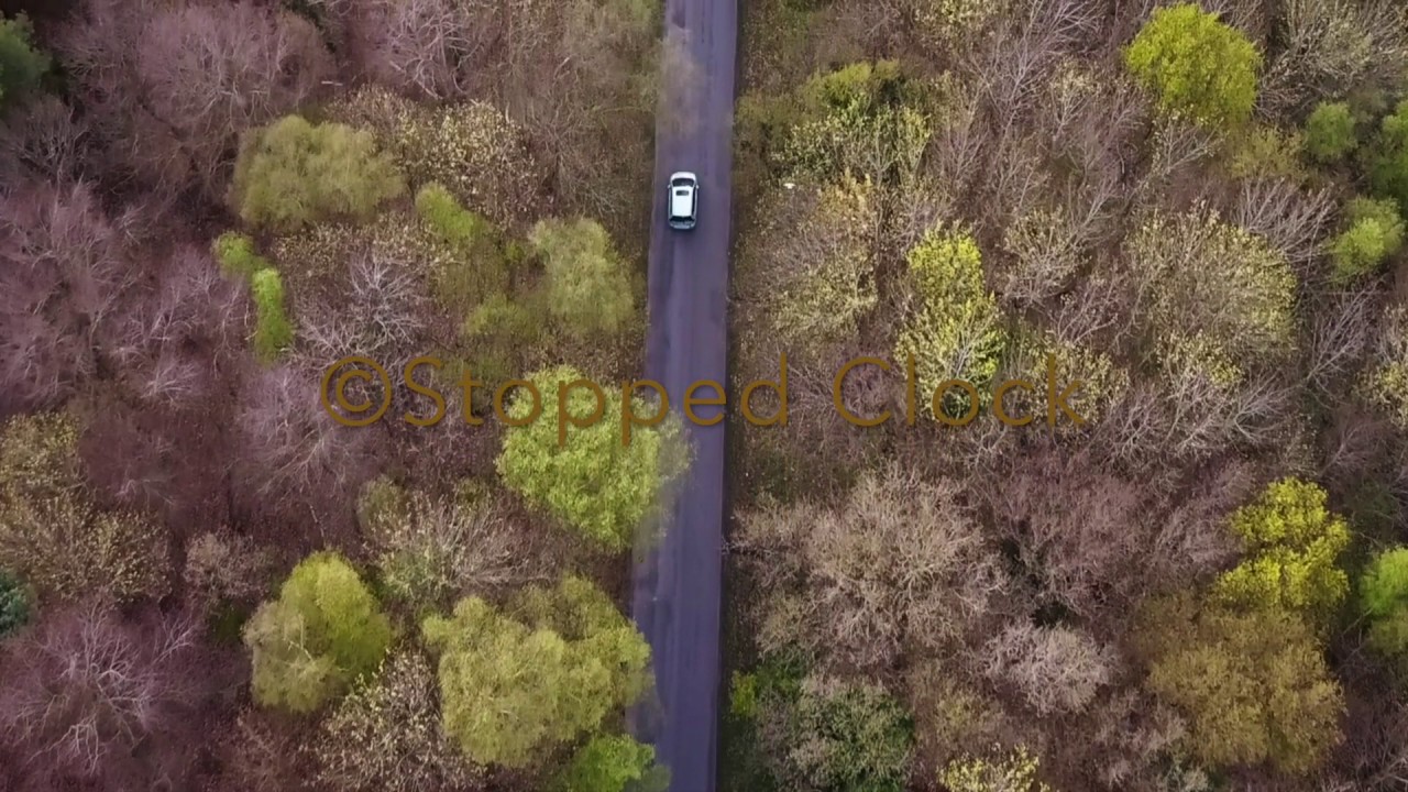 STOCK FOOTAGE - Aerial shot of a car driving down a rural forest road Mavic Pro