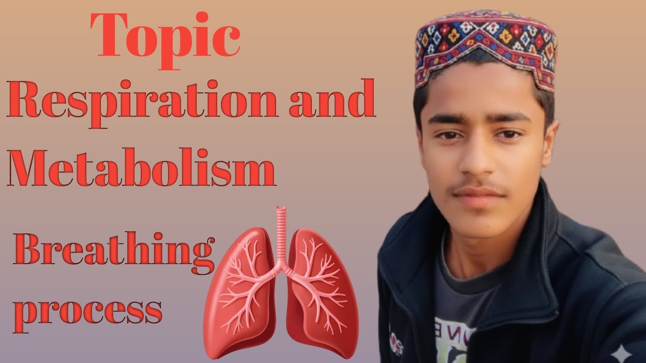 Respiration kiya hota hy aur metabolism kiya hota hy that is respiration and Metabolism...