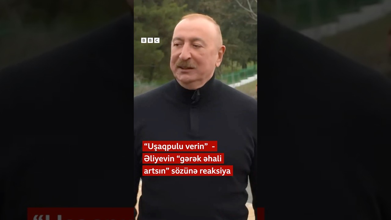 İlham Əliyevin &ldquo;gərək əhali artsın&rdquo; s&ouml;zlərinə reaksiya: &ldquo;Uşaqpulu verin&rdquo;