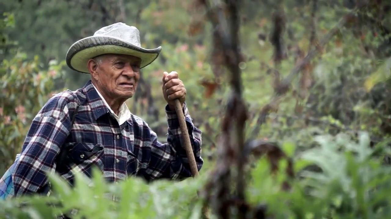 Trailer Don Isidro Una Vida Pastoreando