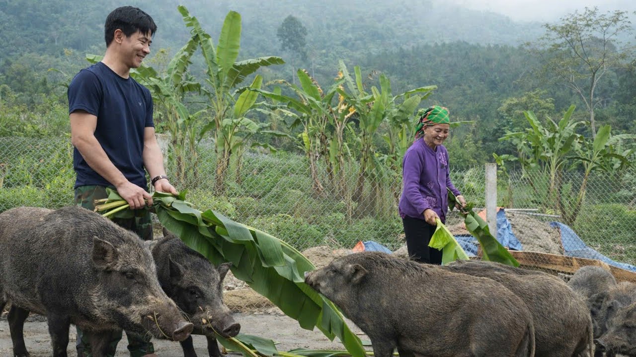 CEO Trieu Khang's compassionate and generous heart moved an elderly woman living alone to tears.