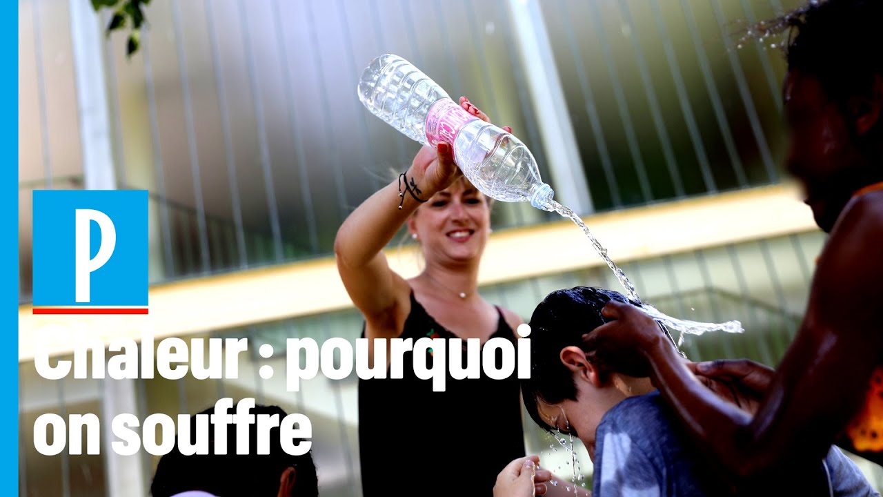Pourquoi notre corps souffre pendant la canicule
