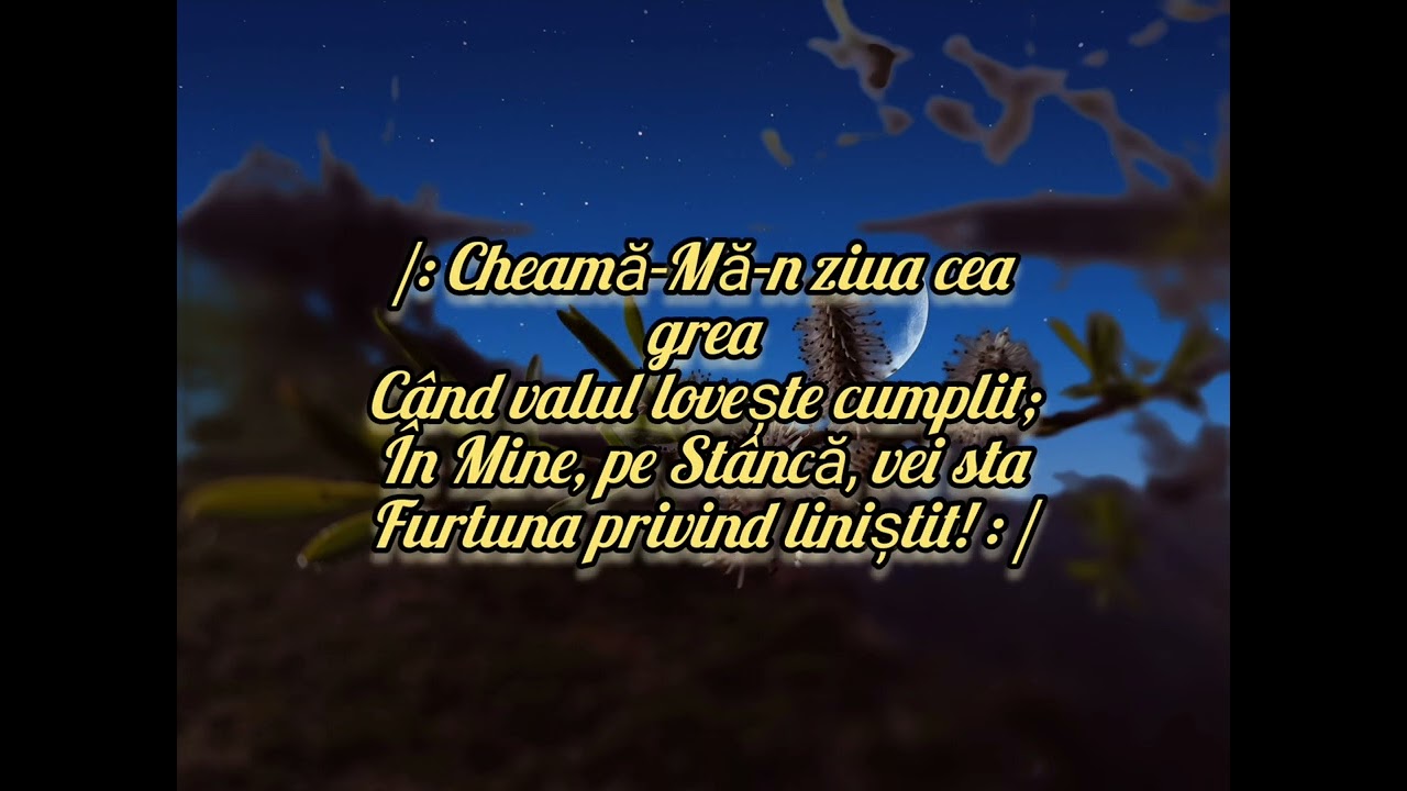 Eu n-am sa te las... NEGATIV cu versuri