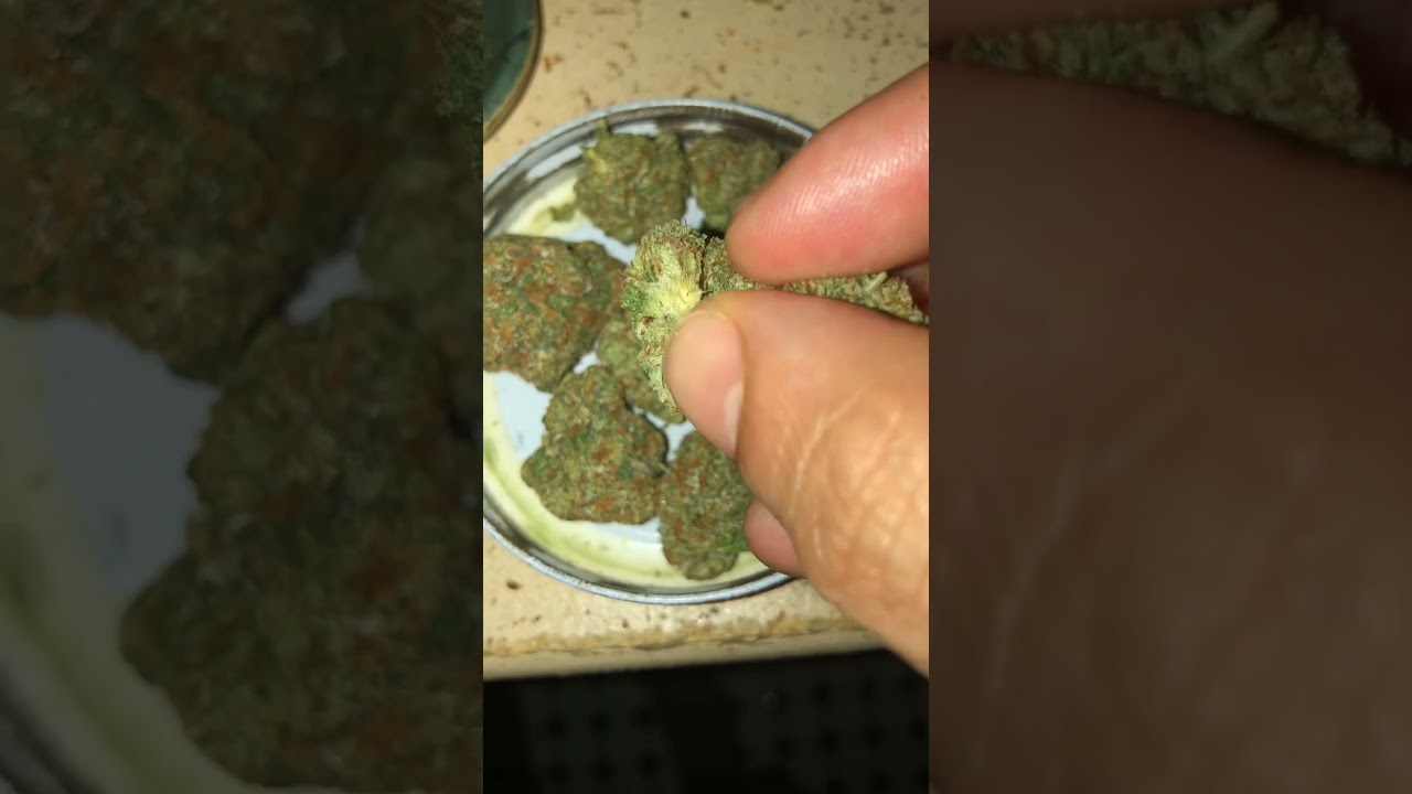 Legal Canadian Cannabis. Strain: Pink rock star
