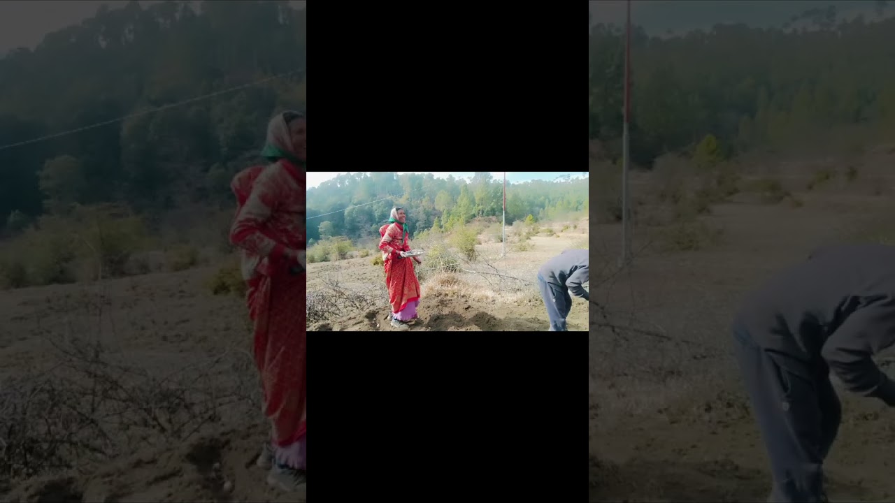 नई खेती की शुरुआत 👍🥔🥱