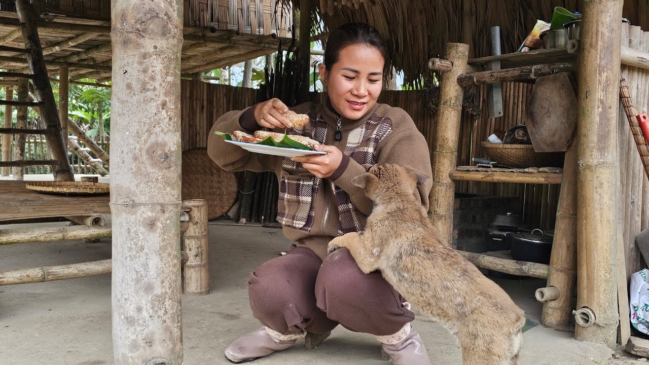 Harvest and enjoy delicious special potato cakes / Daily life - Le Thi Hon