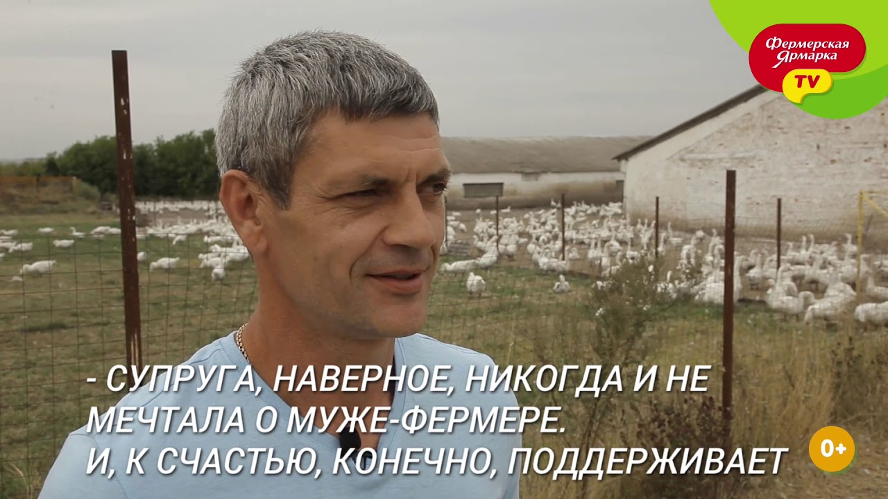 Экскурсия по гусиной ферме Николая Шевцова