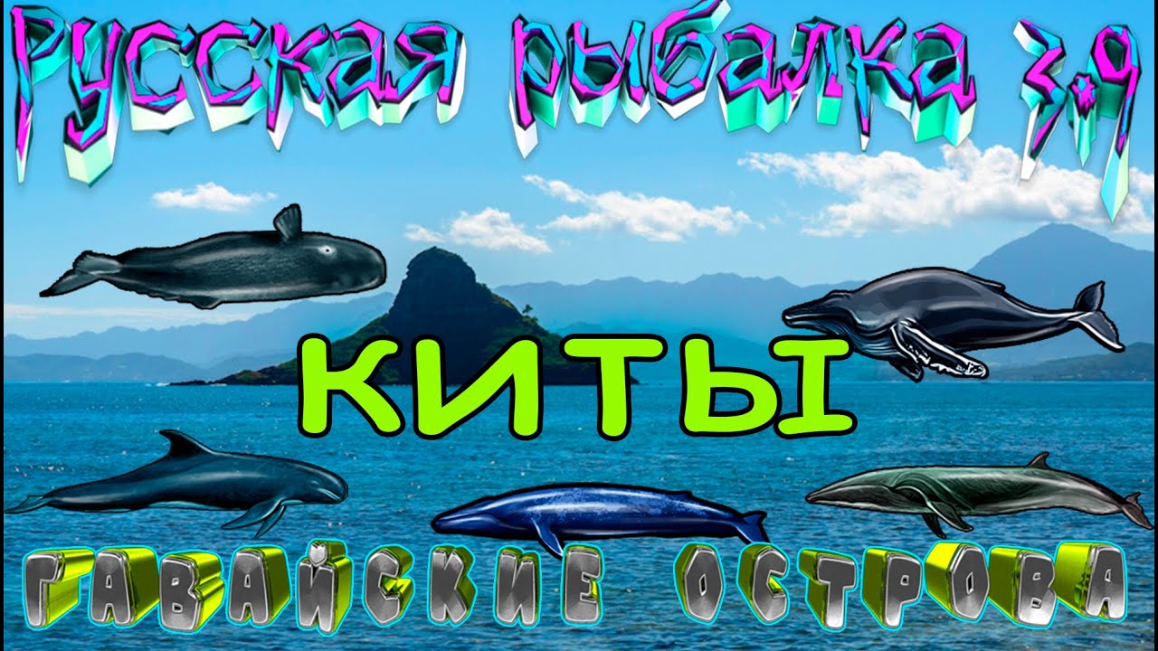 Русская рыбалка 3.99.  КИТЫ Кохола