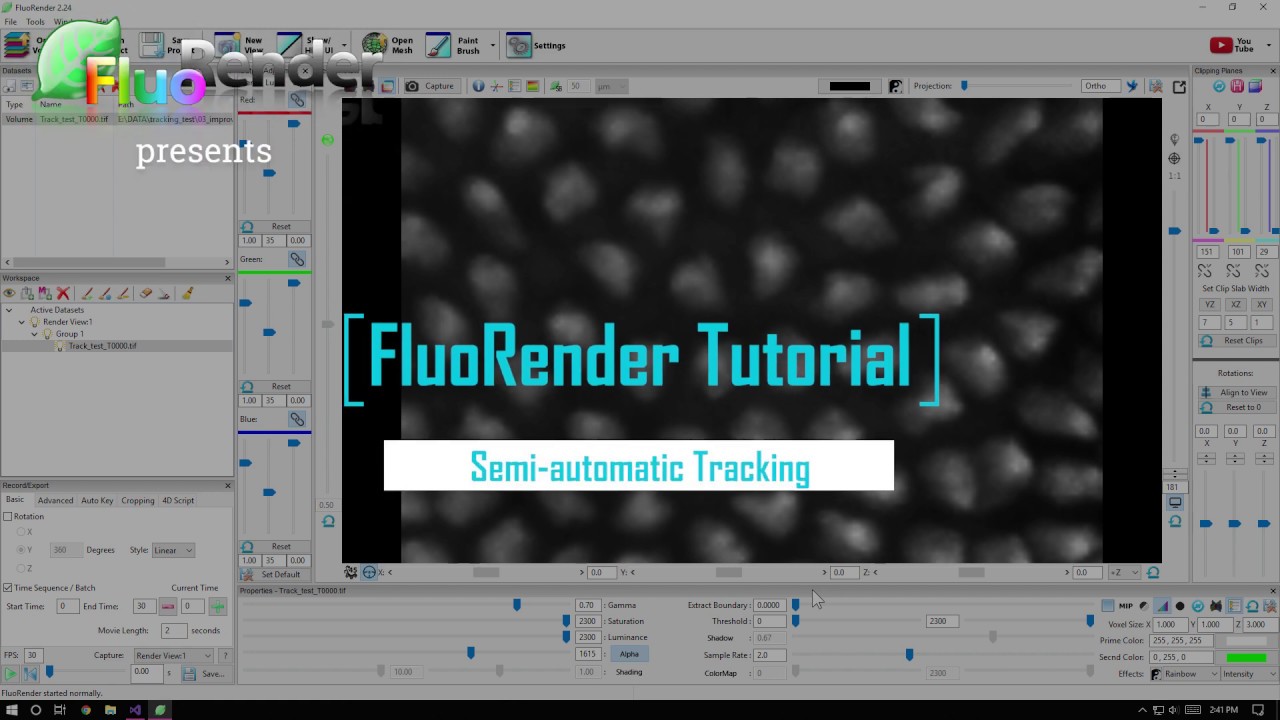 FluoRender Tutorial: Semi-automatic Tracking