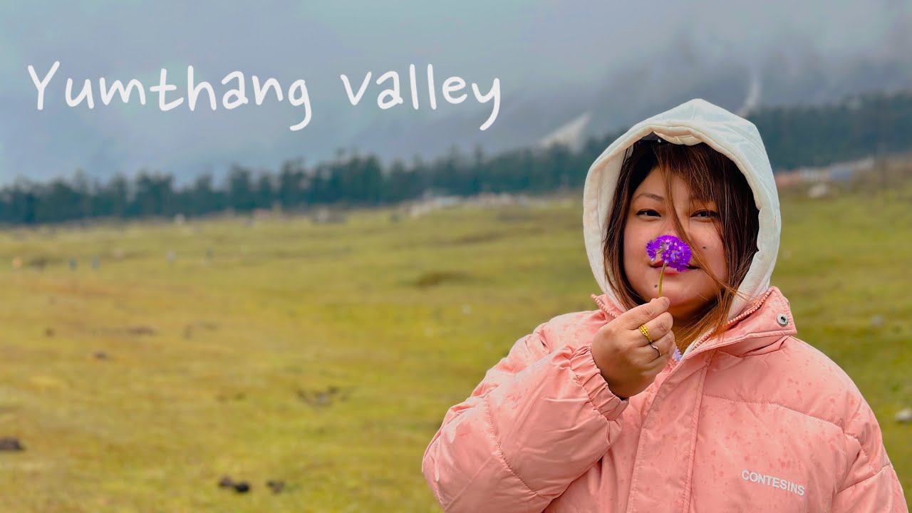 Yumthang Valley of Flowers|Sikkim |Livingwithgracemanju|