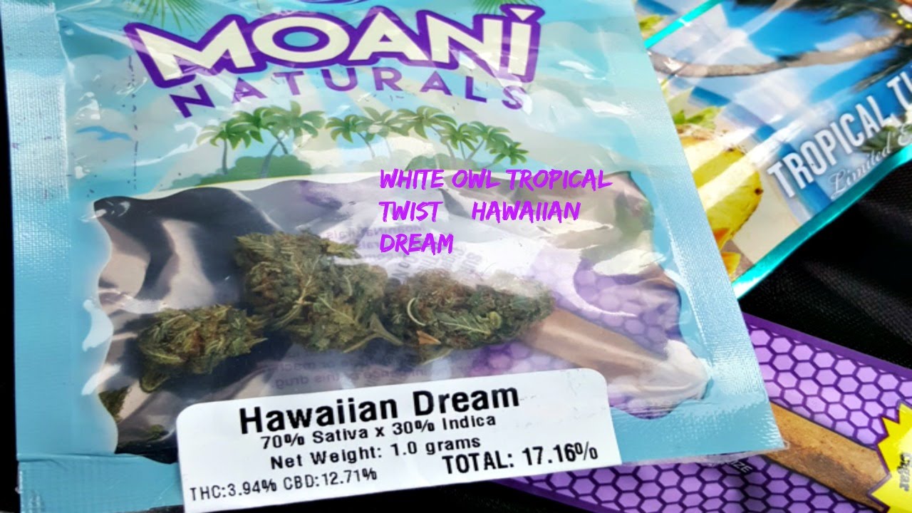 White Owl Tropical Twist Cigarillos Review (Limited Edition) + Hawaiian Dream