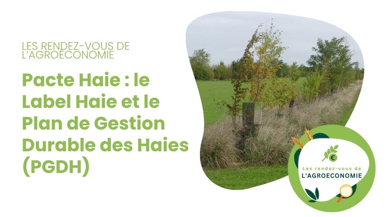 Le Label Haie et Le Plan de Gestion Durable des Haies (PGDH)