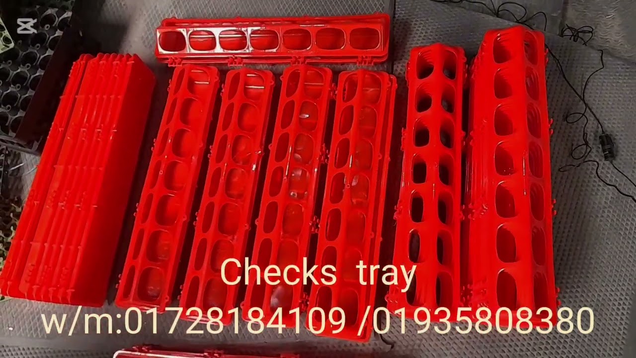 কোয়েল পাখির ট্রে। w/m:01728184109 /01935808380  #viral tray #Checks tray #Bird tray #Plastic tray