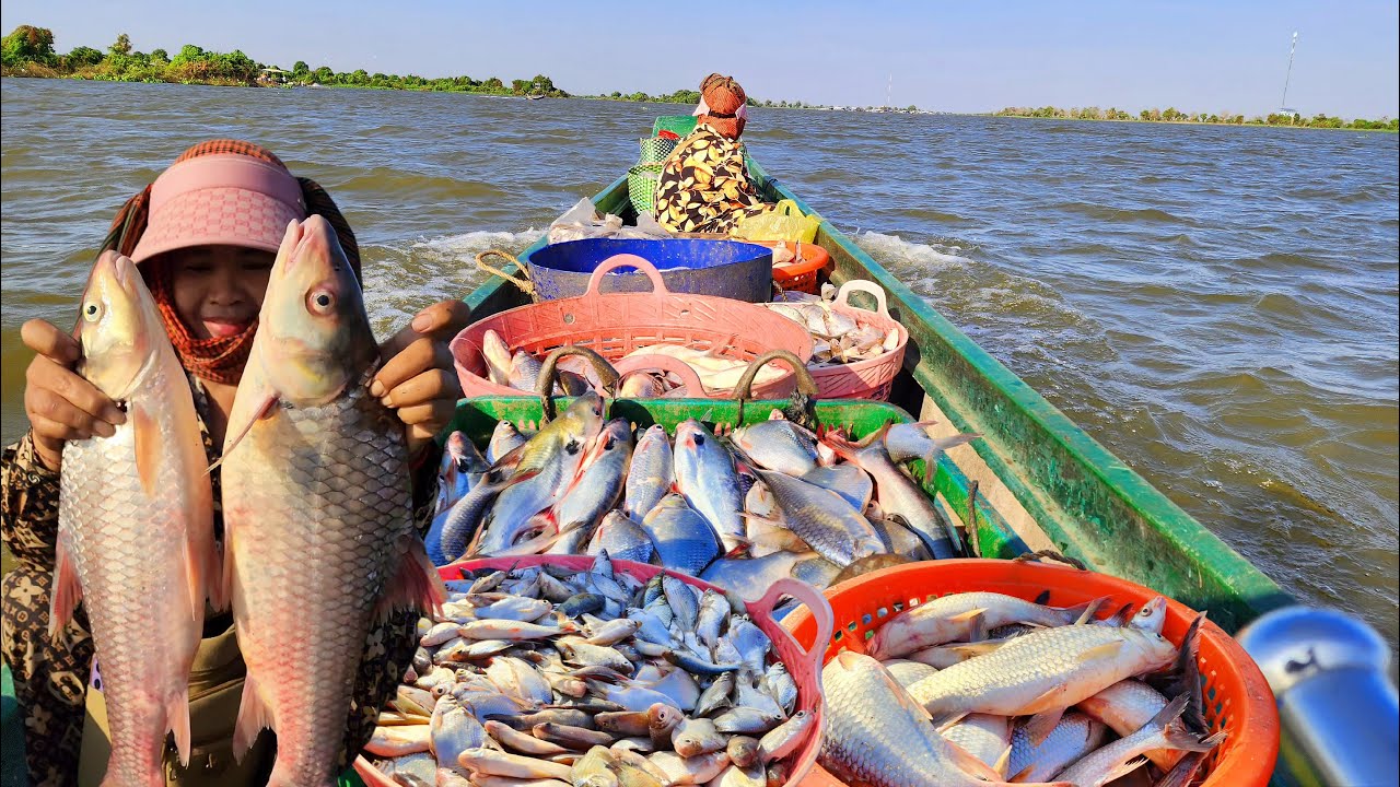ទន្លេសាប ចូលរនោចហើយត្រីនៅតែសម្បូរ 🐟👍 || TAT SOKKΕΑ - ΚΗ [Ep. 824]