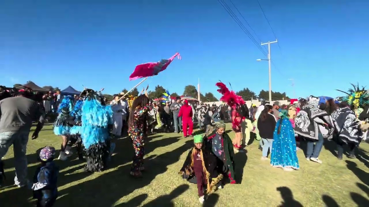 8 de febrero de 2026
