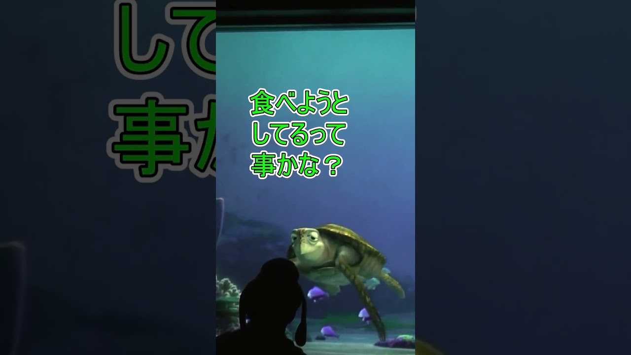 今までで一番怒った瞬間はなんですか？【タートルトーク】東京ディズニーシー