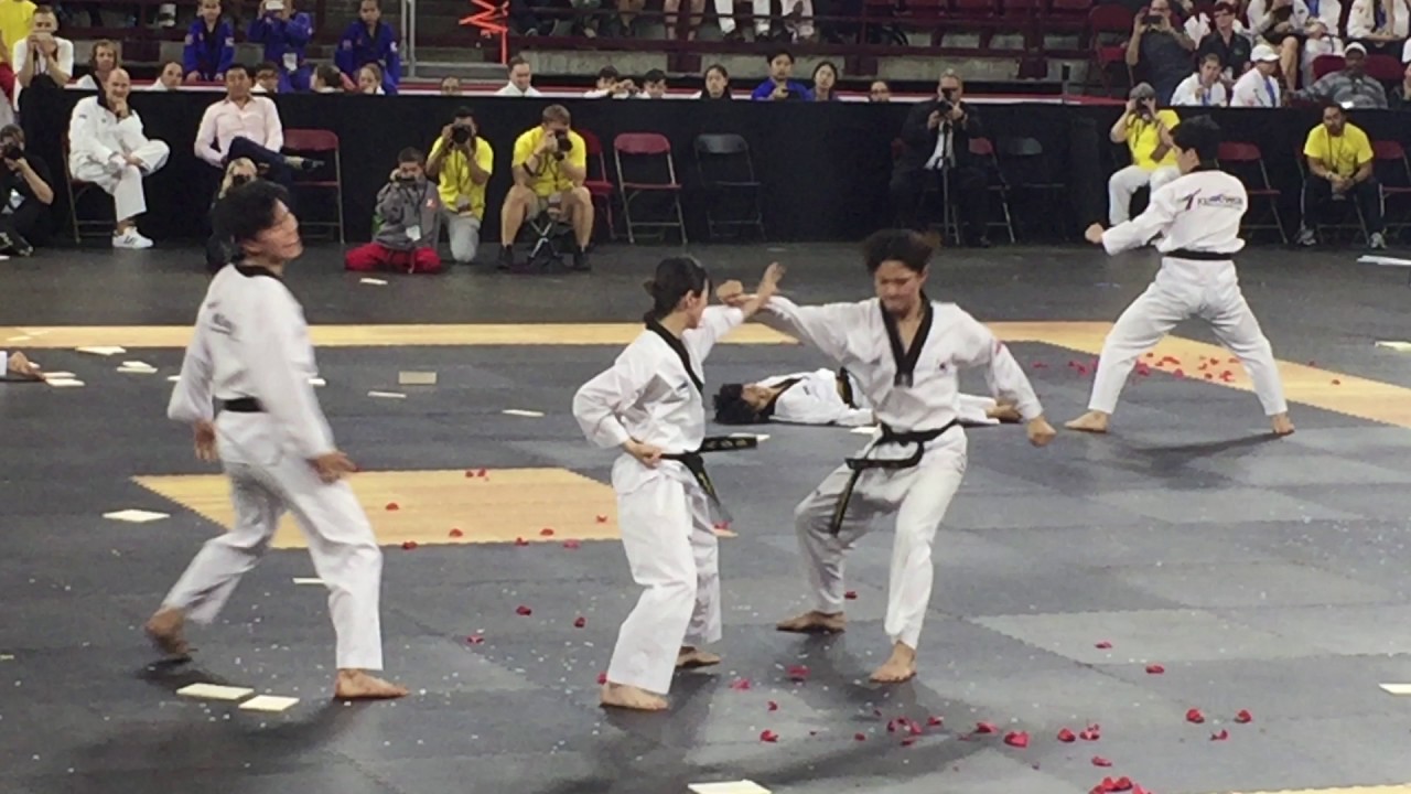 2017 Kukkiwon National Team Hanmadang