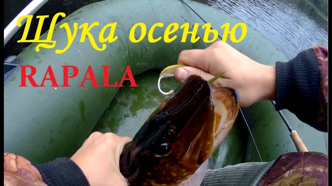 Rapala Minnow Spoon. Ловля щуки поздней осенью на незацепляйку Рапала
