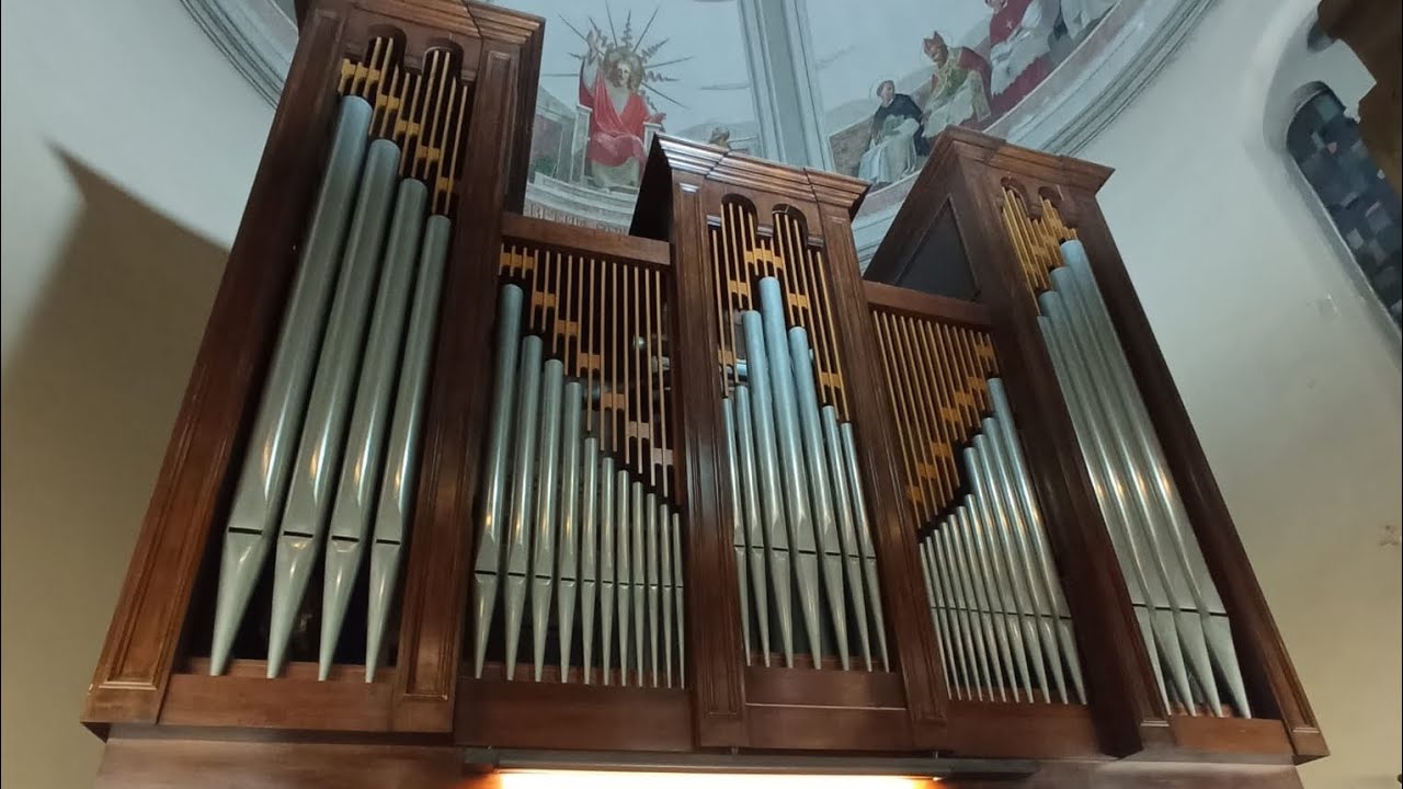 Organi del Veronese: Casaleone 