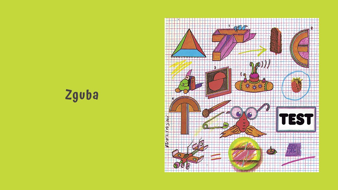 TEST - Zguba [Official Audio]