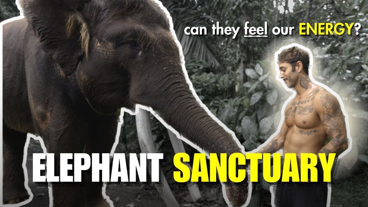 This was AMAZING - Bali Elephant Sanctuary