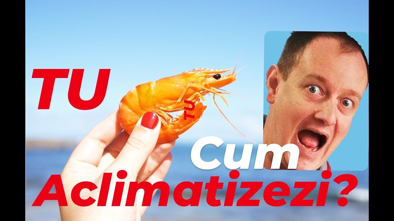 97,3% dintre acvariști greșesc aclimatizarea viețuitoarelor!