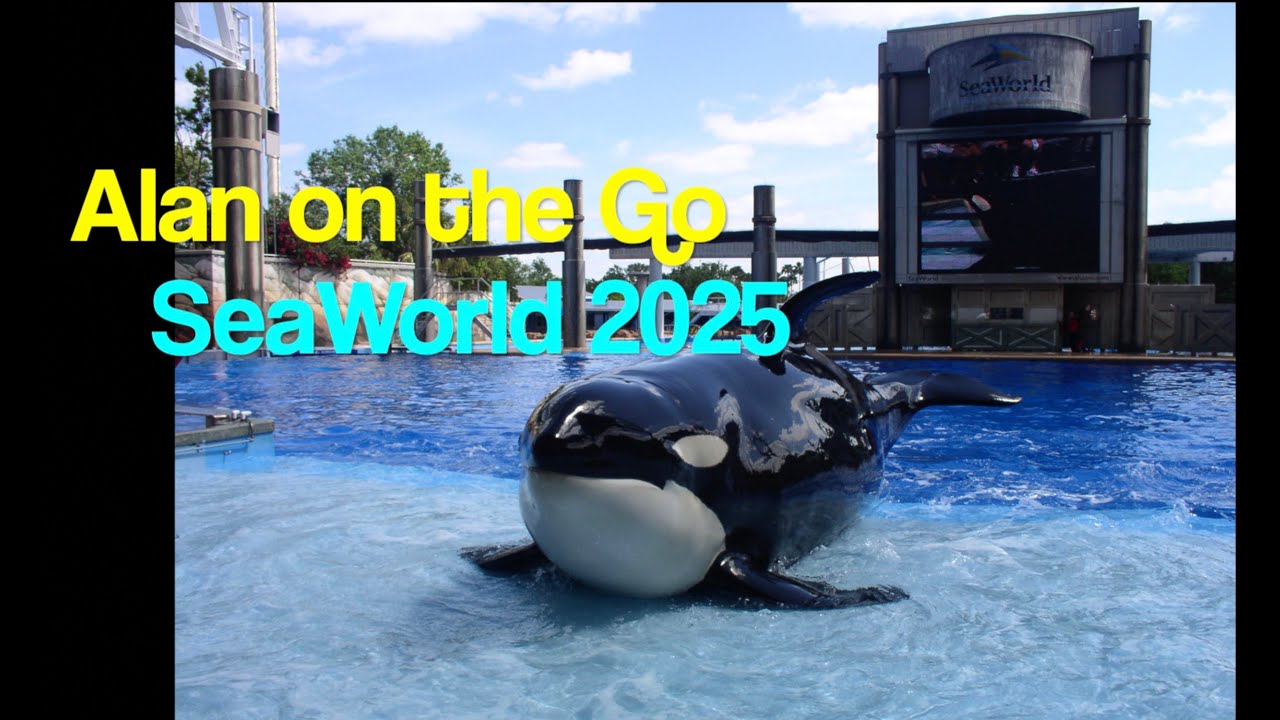 Alan on the go - Seaworld with grandkids in tow