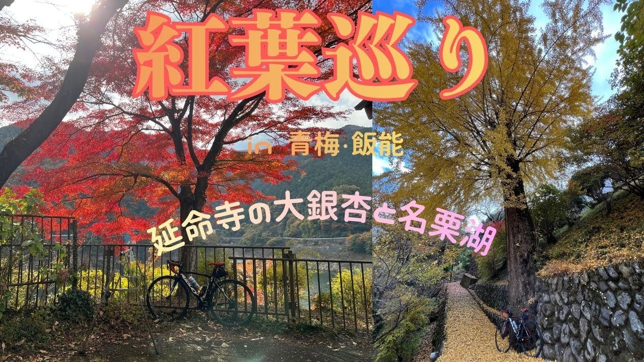 いざ行かん！紅葉狩り♪青梅と飯能の絶品の紅葉を見に行く最高のポタリングをおすそ分け👍 #ロードバイク #ポタリング #紅葉 #名栗湖 #青梅 #延命寺 #ridley #cycling