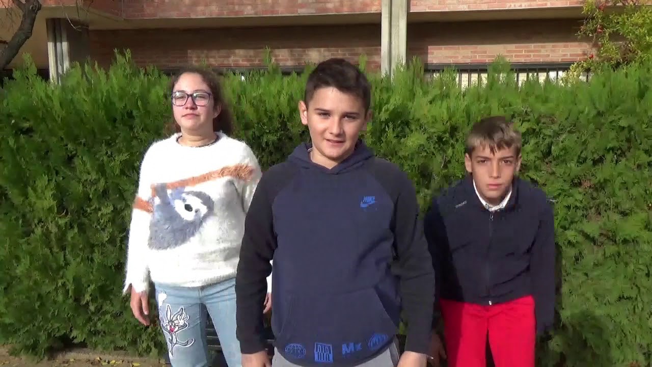 CEIP EL ALMENDRAL, CARMONA, TRABAJO COEDUCACIÓN 6A-6B NOVIEMBRE 2018