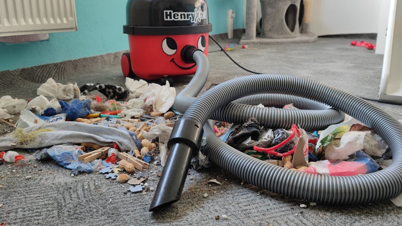 Henry Hoover Fun Part 1