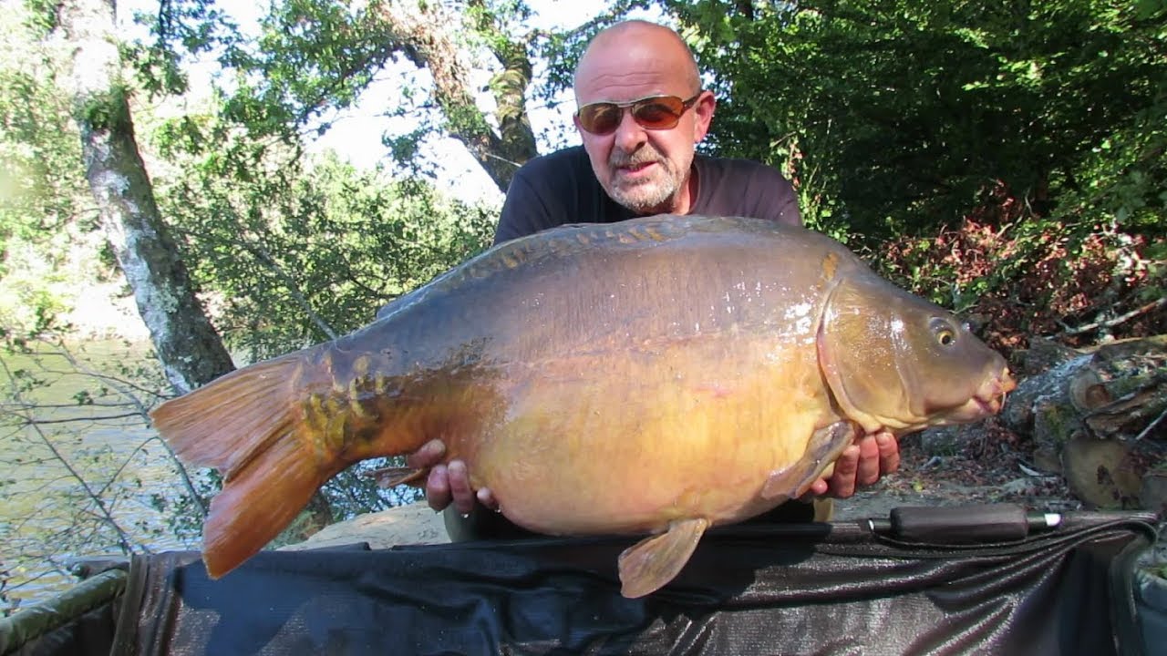 Carp fishing in France on Iktus Ruffaud -  September 2018,  p&ecirc;che de la carpe