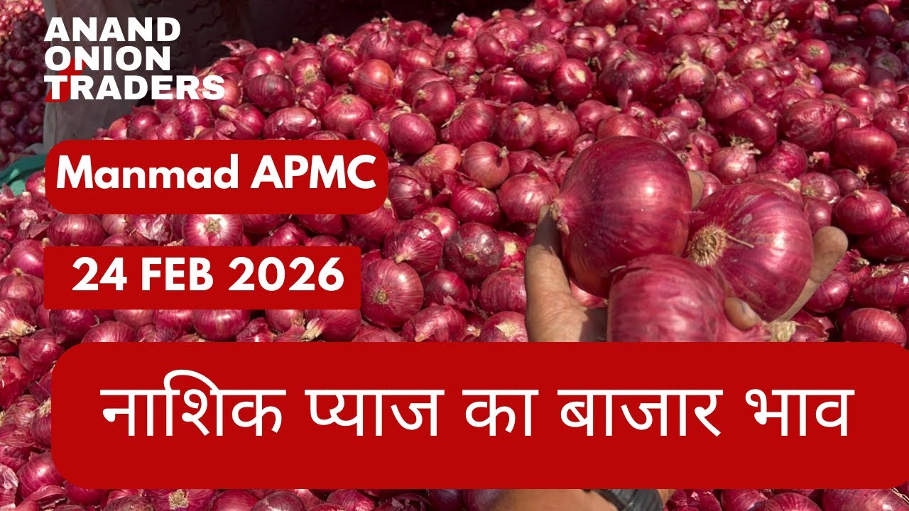 नाशिक प्याज का बाजार भाव आज 🔥 | Nashik Pyaj Ka Bajar Bhav | Today Mandi Rate 24 February 2026
