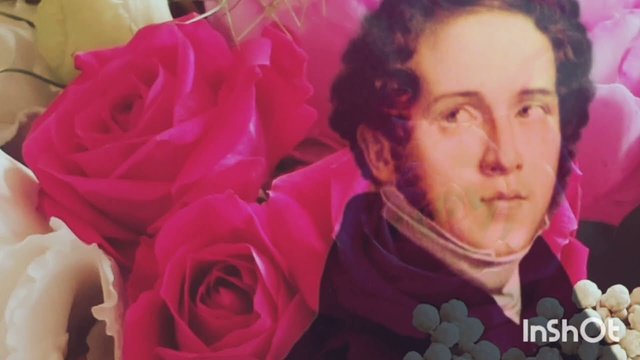 V. Bellini, Vanne o rosa fortunata - live