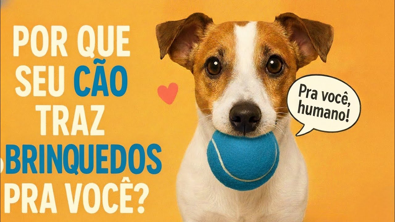 Por que seu cão traz brinquedos pra você?