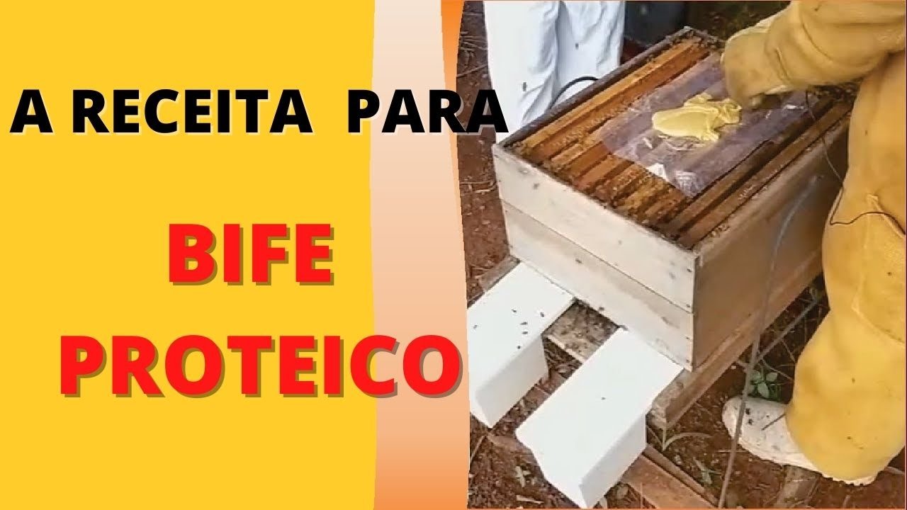 BIFE PROTEITO - Receita da alimentação sólida