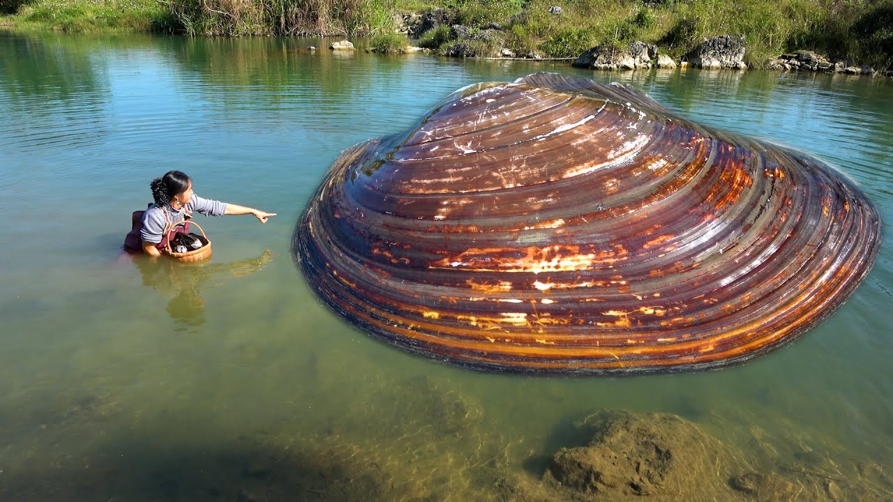 There are unexpected gains here. When you see beautiful pearls, believe them