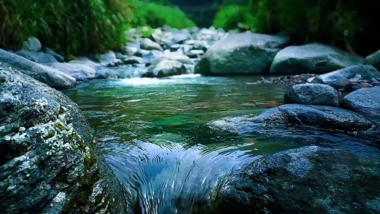 🌊 Gentle River Falls ASMR Sounds for Deep Sleep, Relaxation & Anxiety Relief