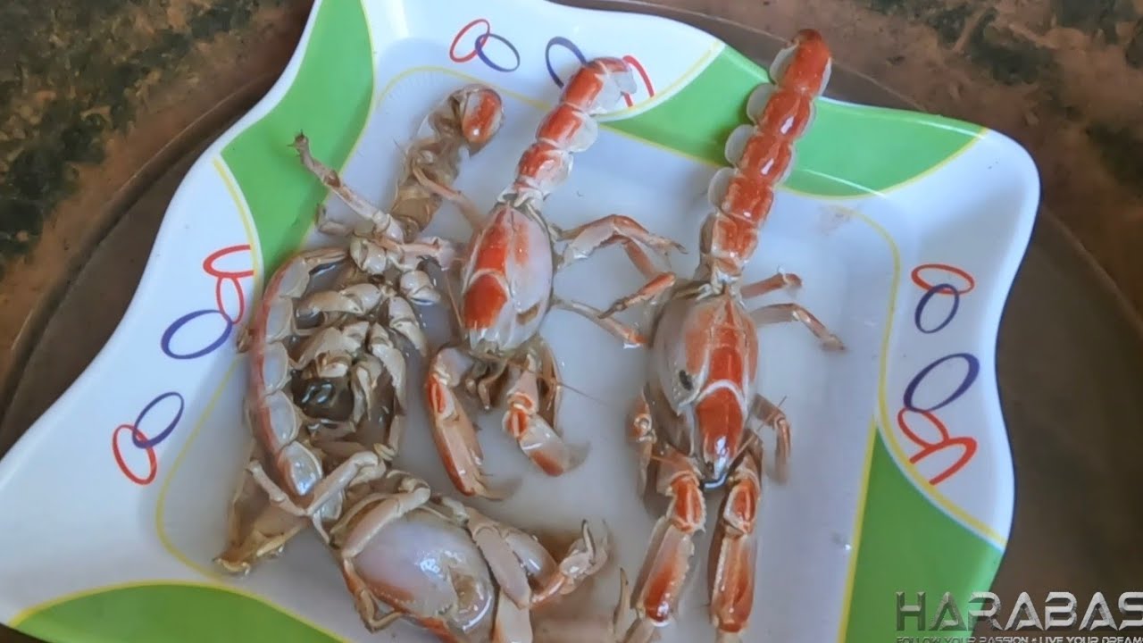 EP703-P2 - Uson-Uson Catch and Cook | Occ. Mindoro