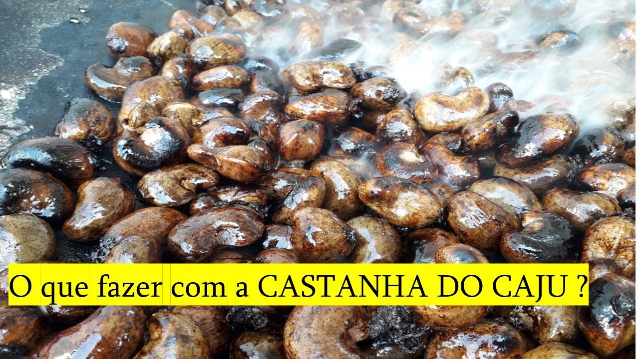 O que fazer com A castanha do Cajú ?