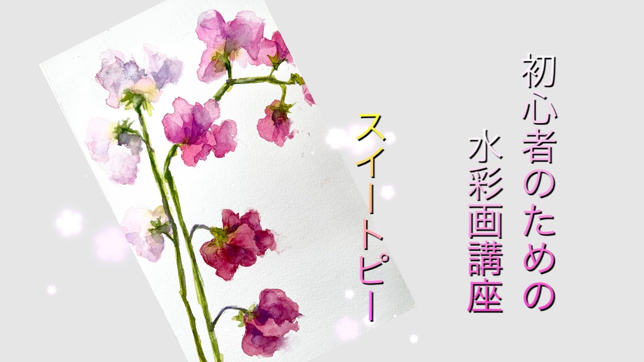 【初心者のための透明水彩90】スイートピー