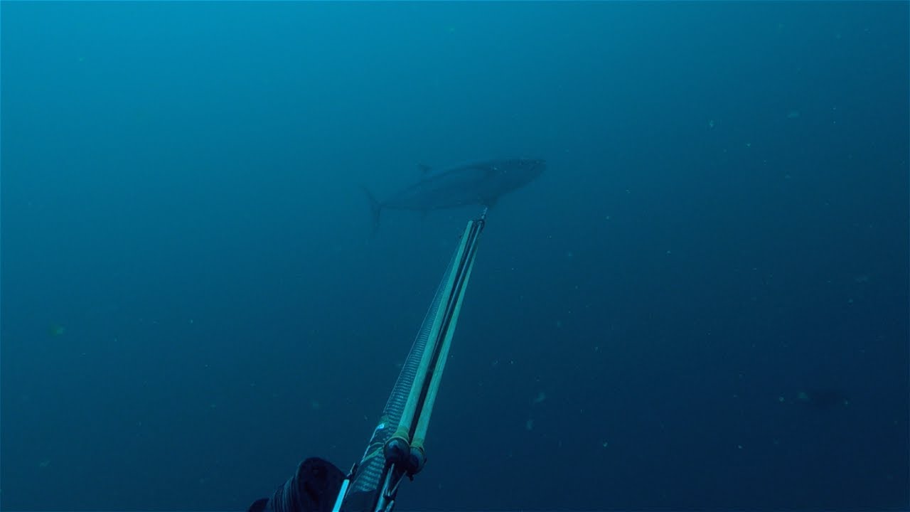 Wettie TV | SPEARFISHING Remote Marquesas TAHITI | PART TWO