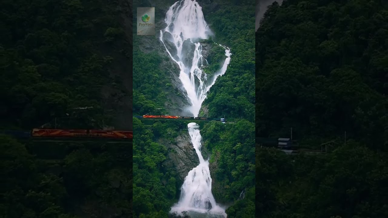 PureVista: The Beauty of Untamed Nature (4K Cinematic)