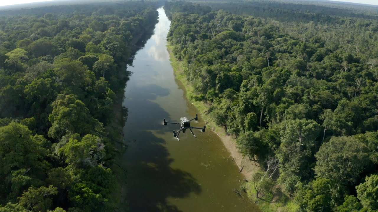 Rolex Perpetual Planet Initiative &ndash; Amazon Expedition: In the Flooded Forest